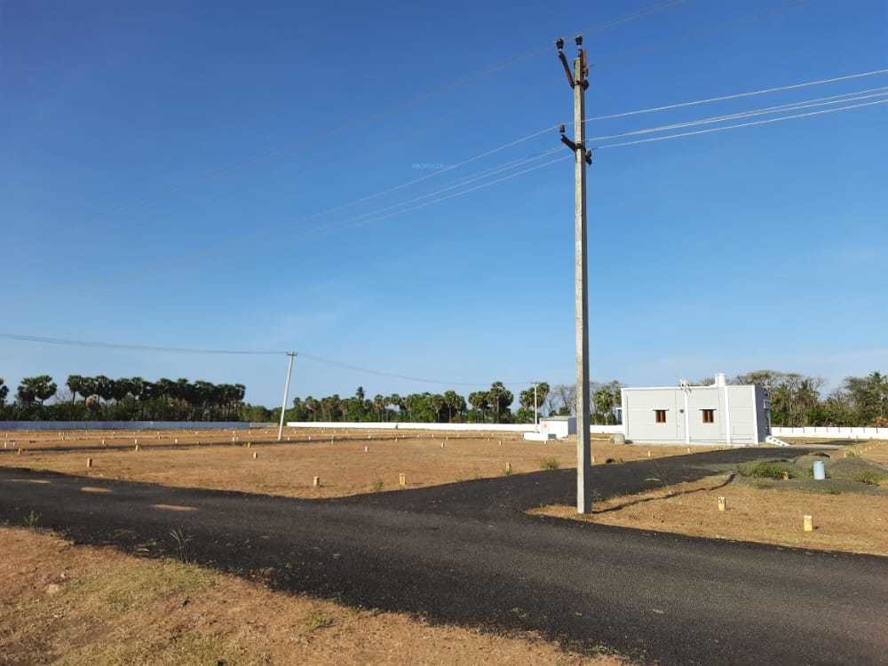  collector nagar Plot