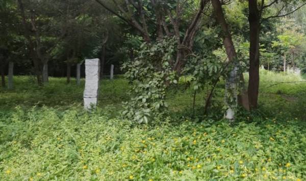  thirumala-nagar Elevation