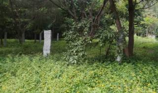 Project Image Project Image