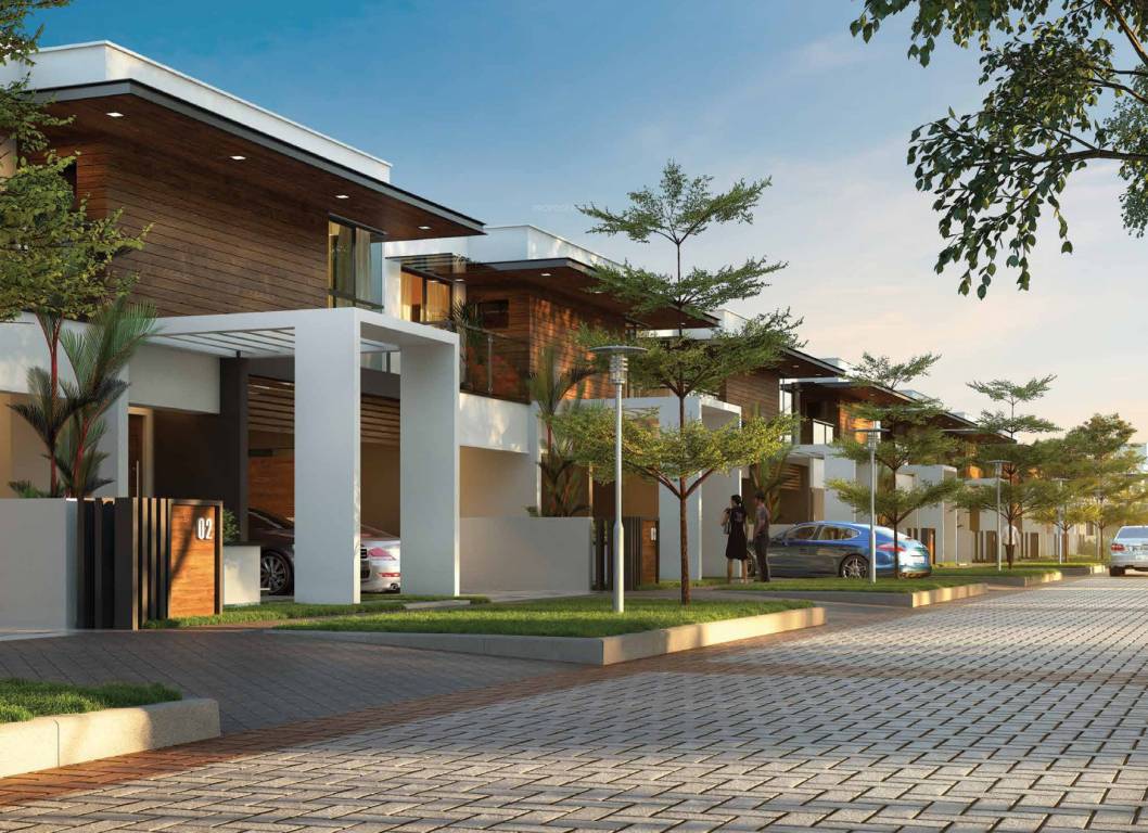 silver estate Elevation