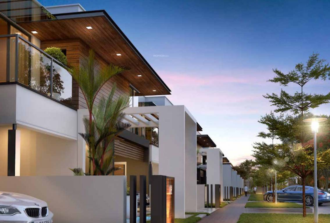 silver estate Elevation