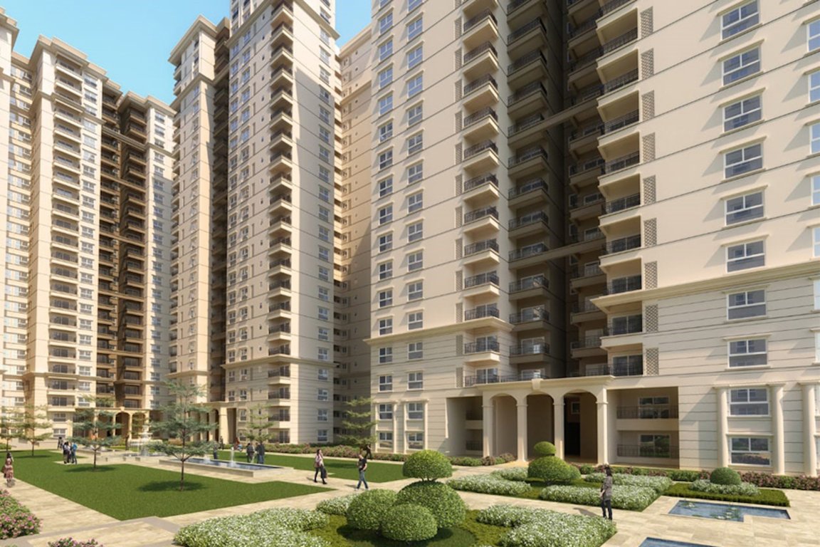  metropolis Elevation