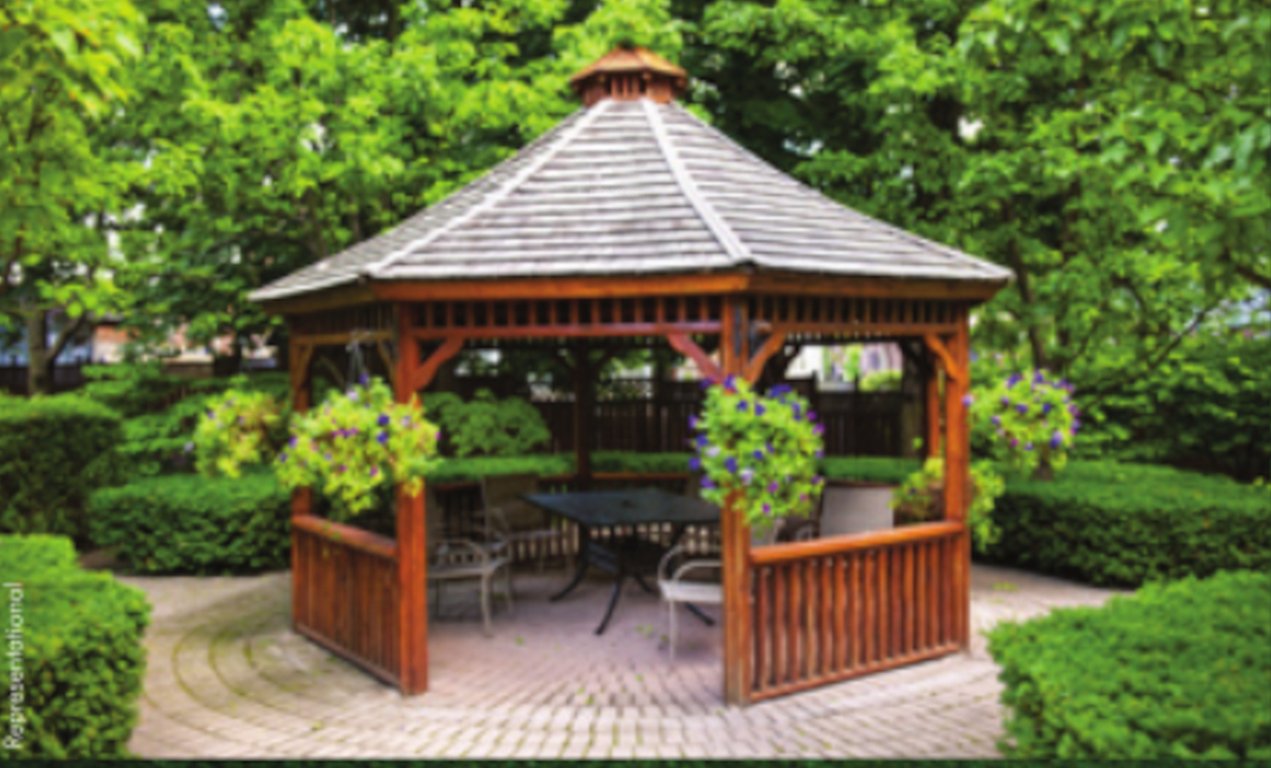  jewels Senior Citizen Sitout