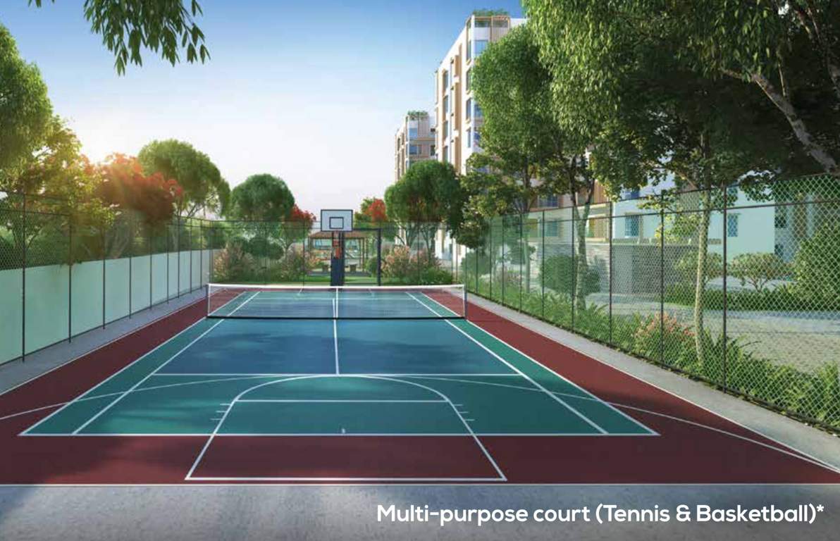  peninsula Basketball Court