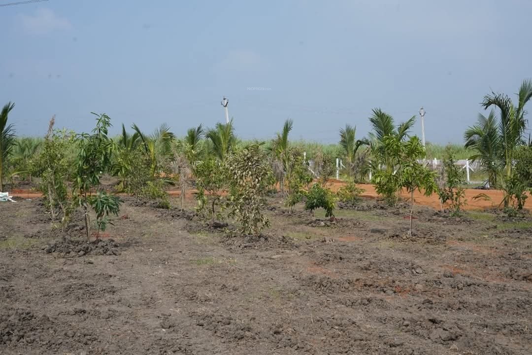  sri dhatri Plot