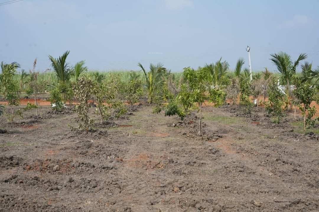  sri dhatri Plot