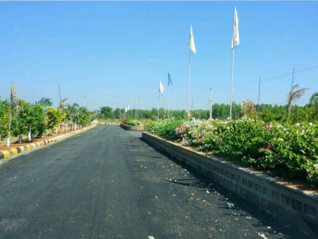  cristal county iv Internal Roads