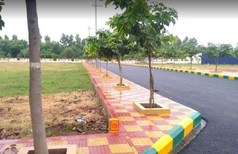  cristal county iv Others