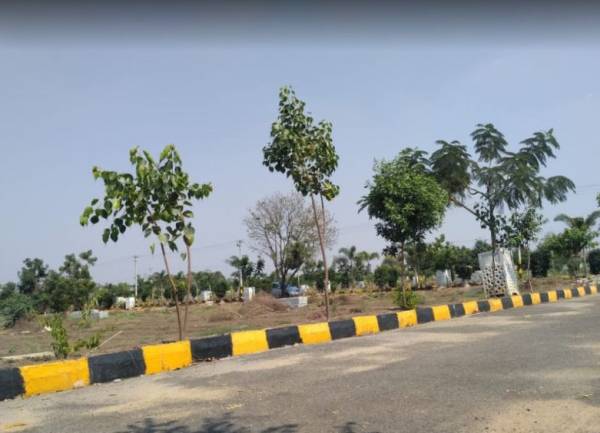  cristal-county-iv Others