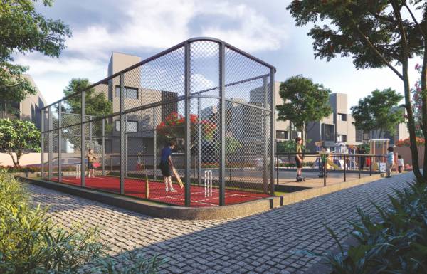  serenity Cricket Pitch