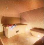 Steam Room raaj-vilas Steam Room