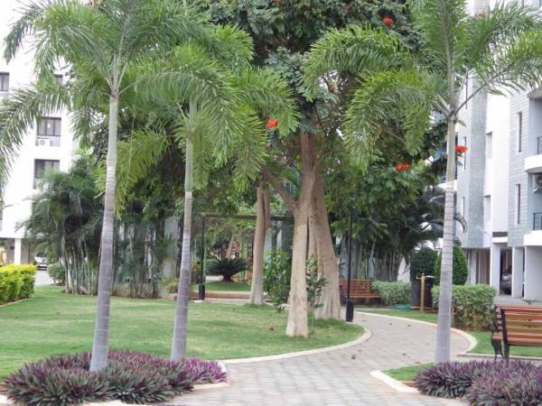  all-seasons Jogging Track