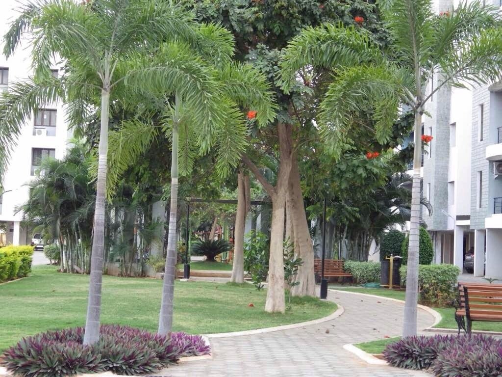  all seasons Jogging Track