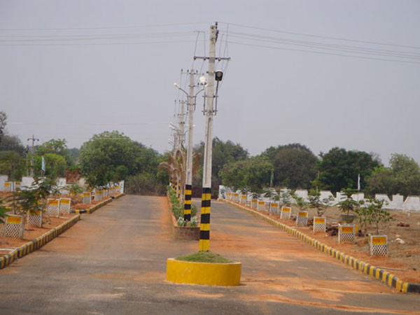  cristal-county Elevation