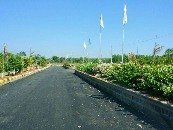  cristal-county Internal Roads