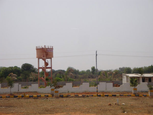  cristal-county Others