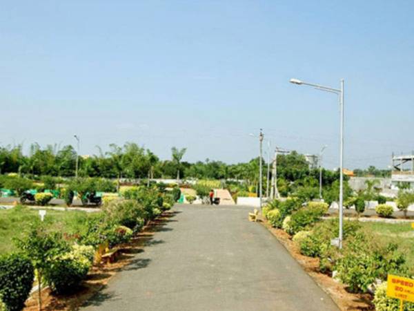  cristal-county Others