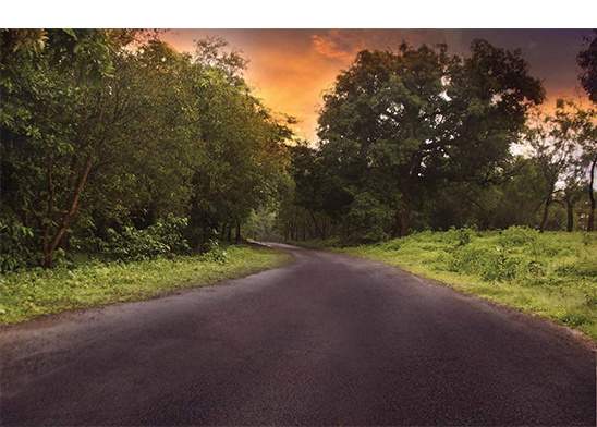 serenity villas and farms Others