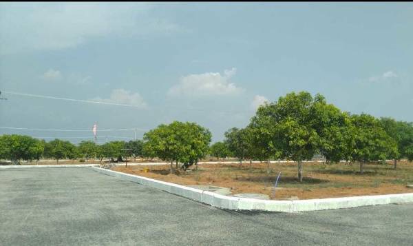  township-phase-ii Elevation