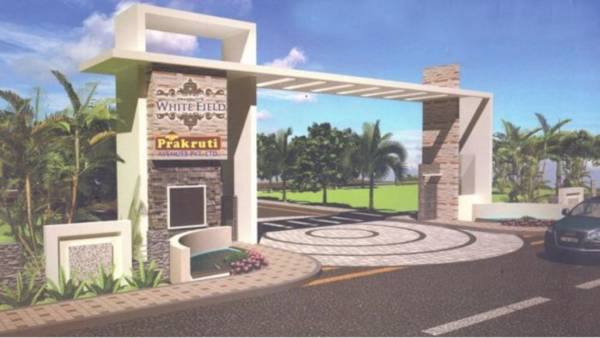  white-field-annex Elevation