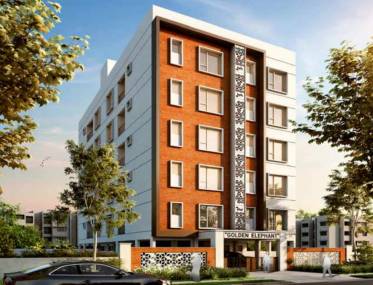 Elevation golden-elephant Elevation