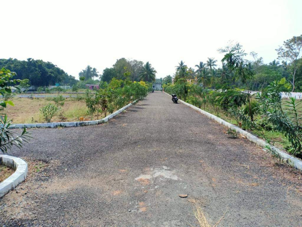  rv garden Plot