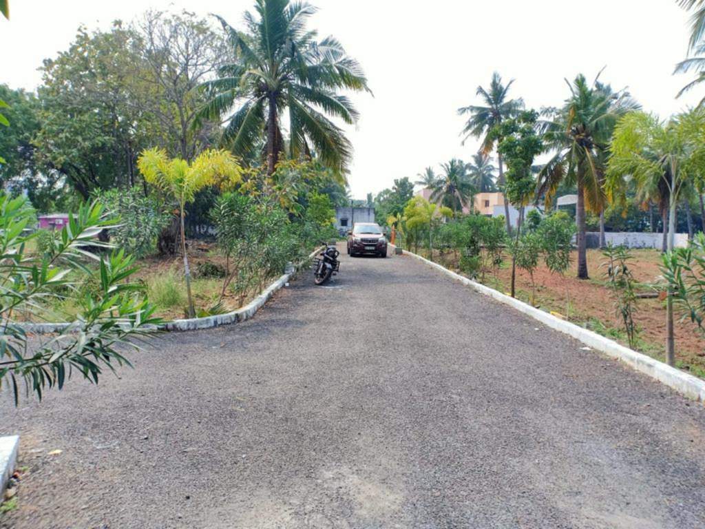  rv garden Plot