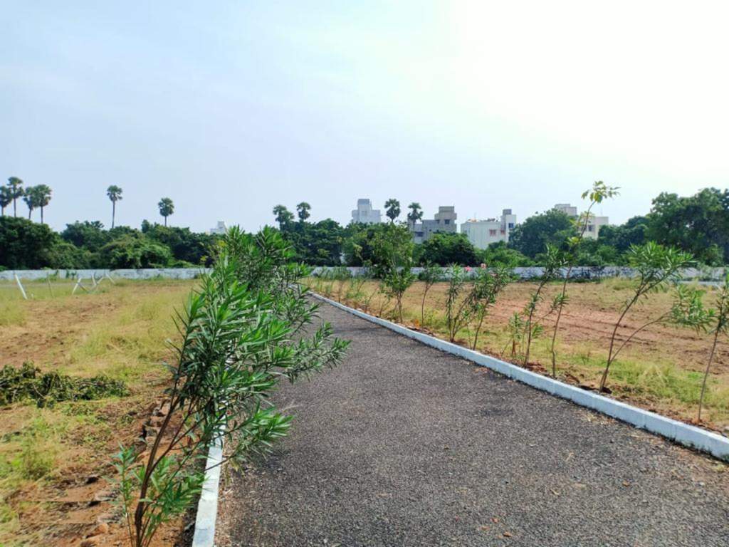  rv garden Plot