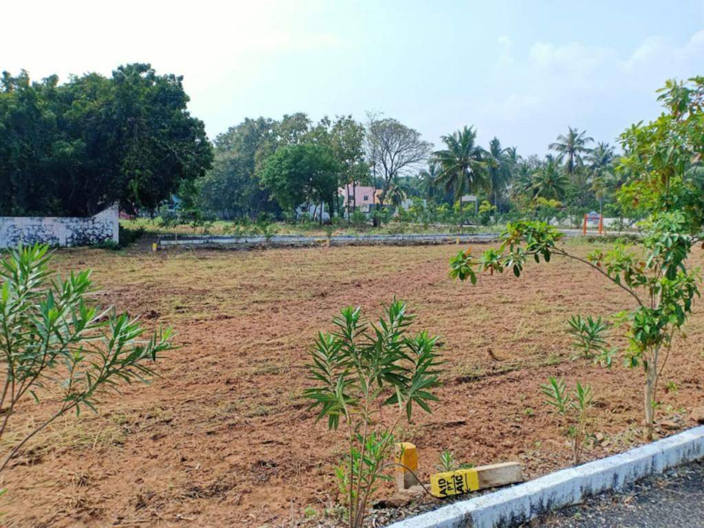  rv garden Plot