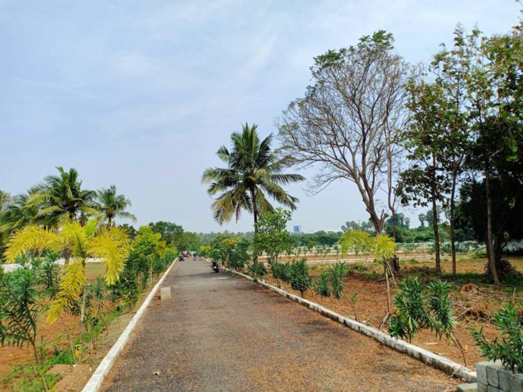  rv garden Plot