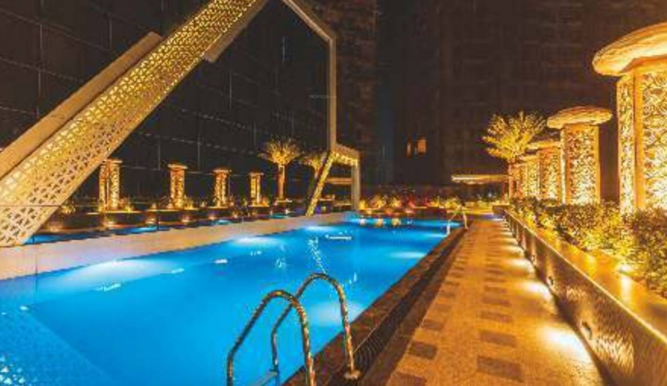  nest building d Swimming Pool