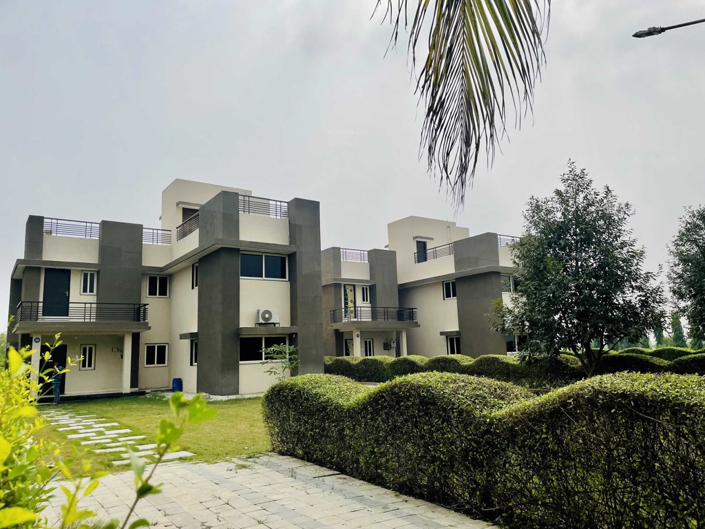  malhaar exotica Elevation