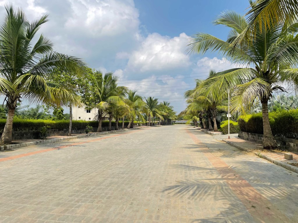  malhaar exotica Elevation