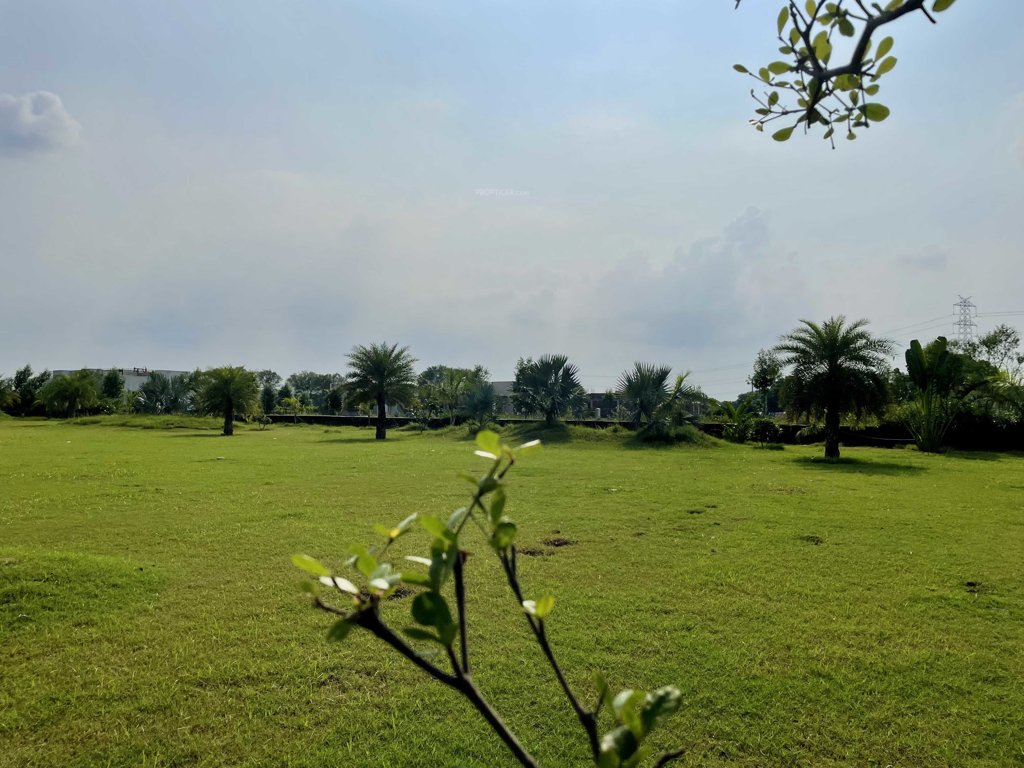  malhaar exotica Elevation