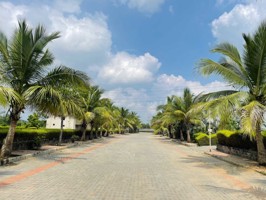  malhaar exotica Elevation