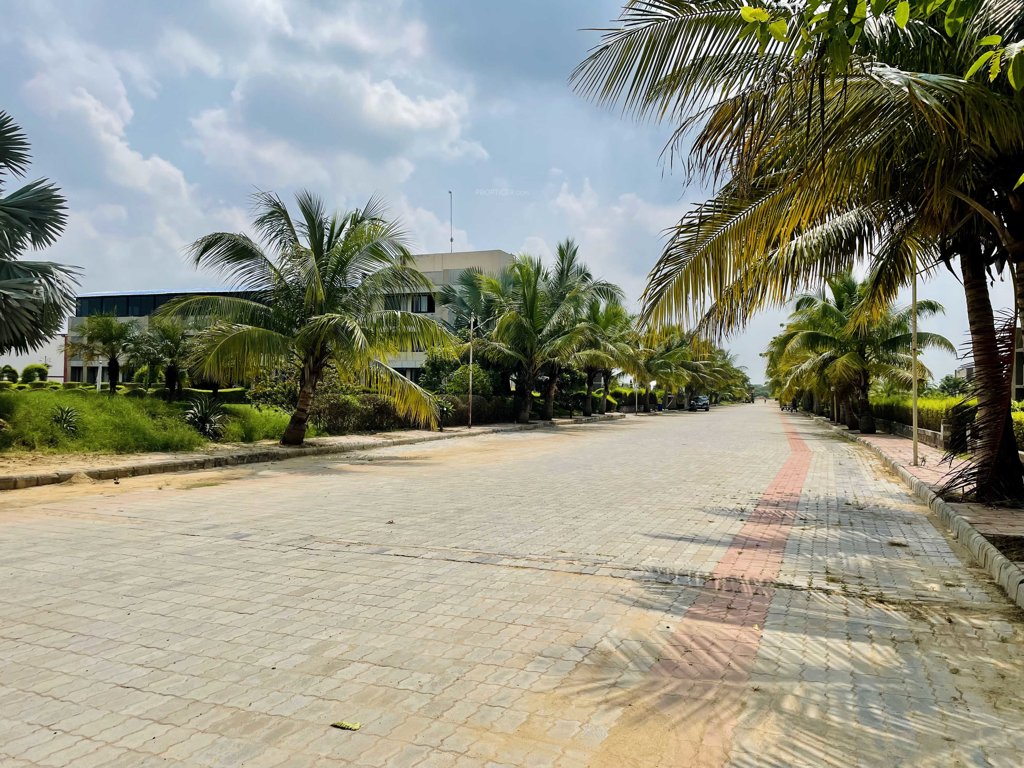  malhaar exotica Elevation