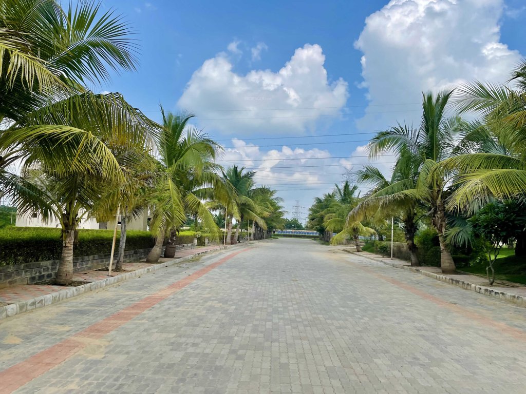  malhaar exotica Elevation