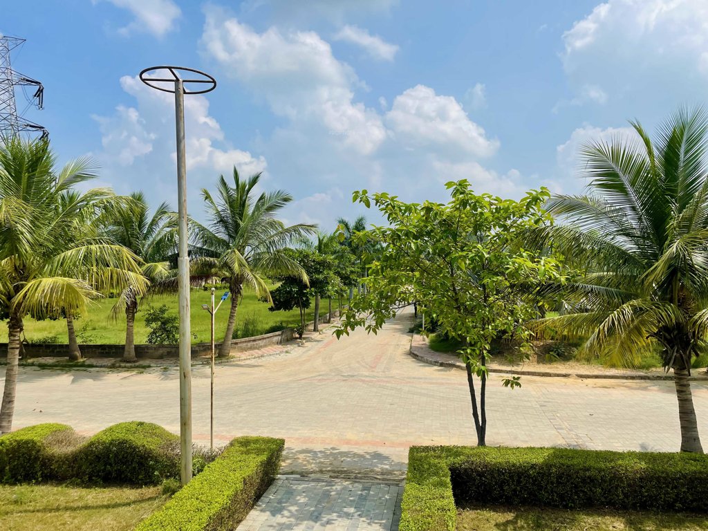  malhaar exotica Elevation