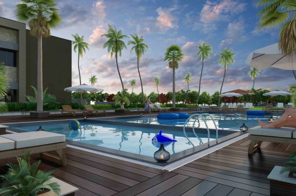  malhaar-exotica Others