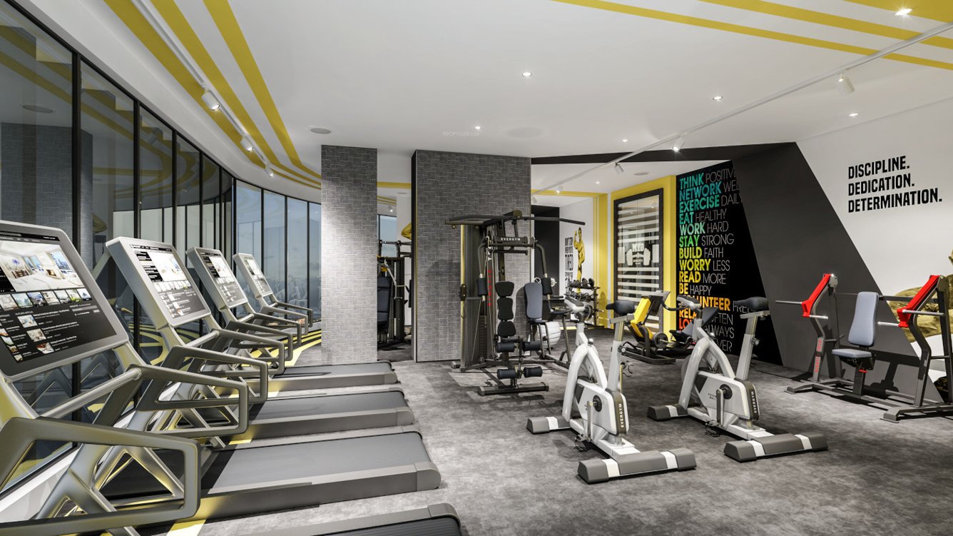  ariha signature Others