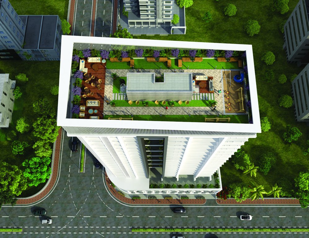  ariha signature Others