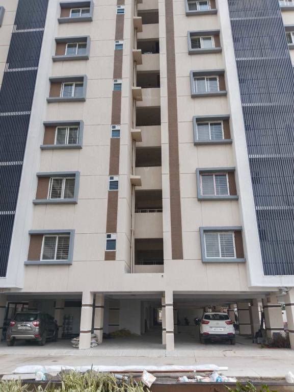  de stature Elevation