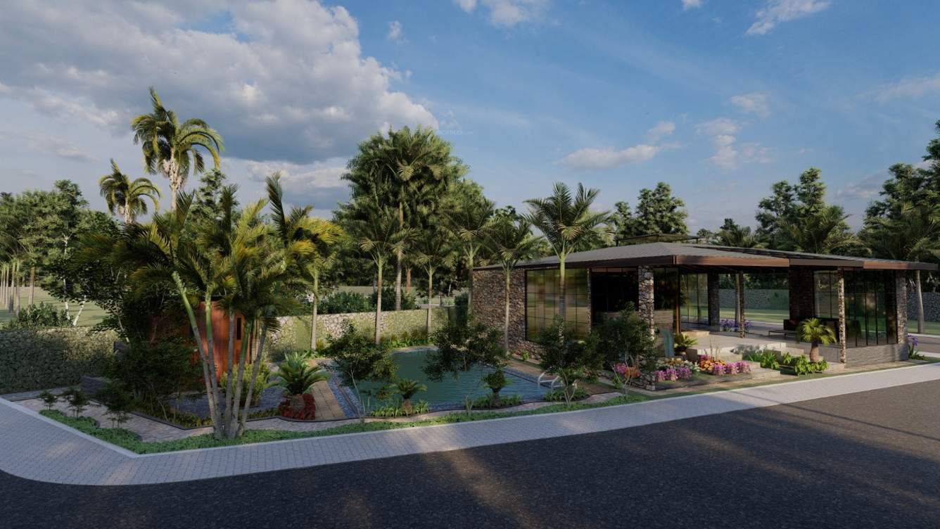  prospera palms Landscaped Gardens
