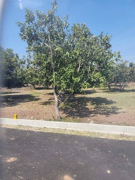  kris-farms Elevation