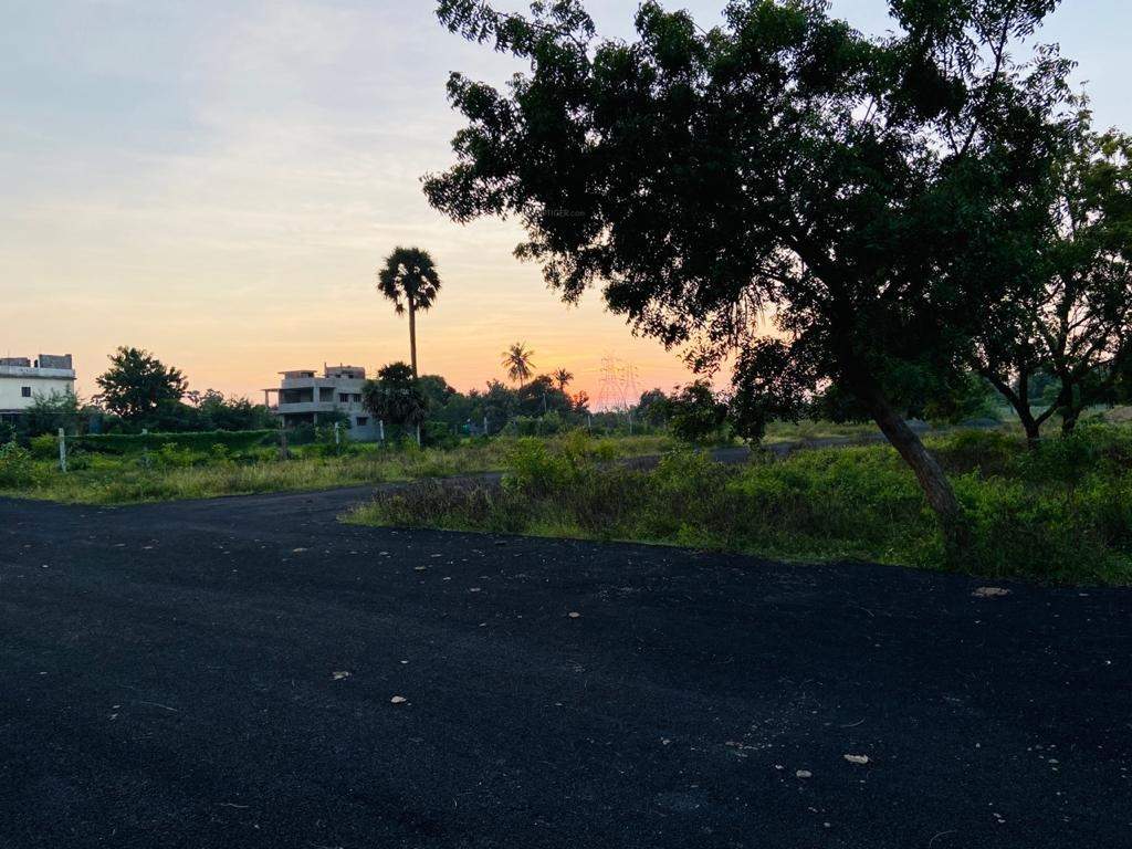  kris farms Internal Roads