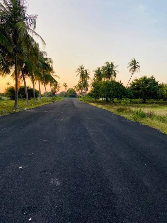  kris farms Internal Roads