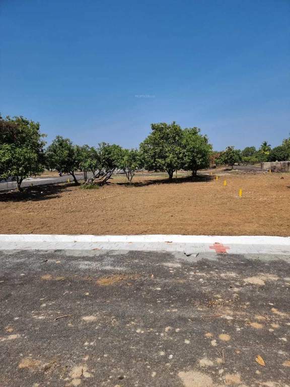  kris farms Plot