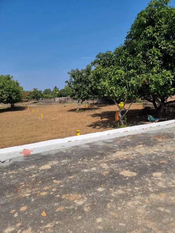  kris farms Plot