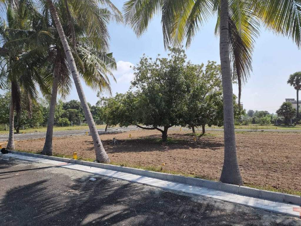  kris farms Plot