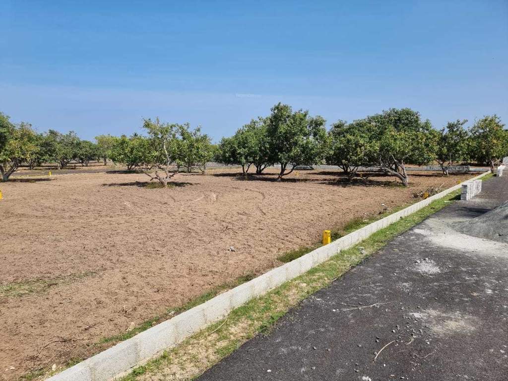  kris farms Plot